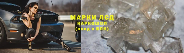ECSTASY Богородицк