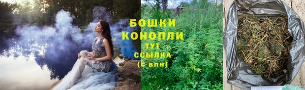 ECSTASY Богородицк