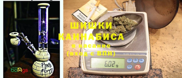 ECSTASY Богородицк