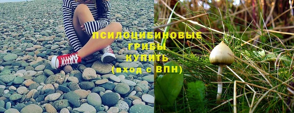 бутират Богданович