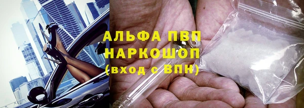 ECSTASY Богородицк