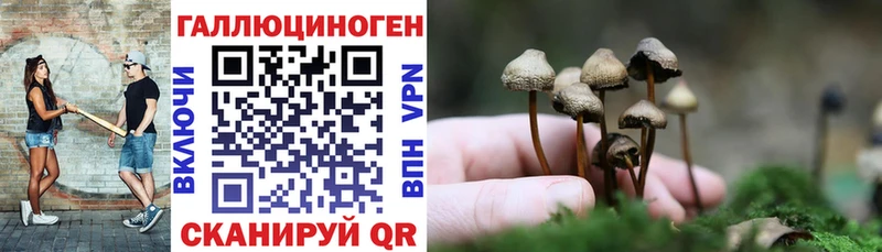 Псилоцибиновые грибы Magic Shrooms Дмитровск